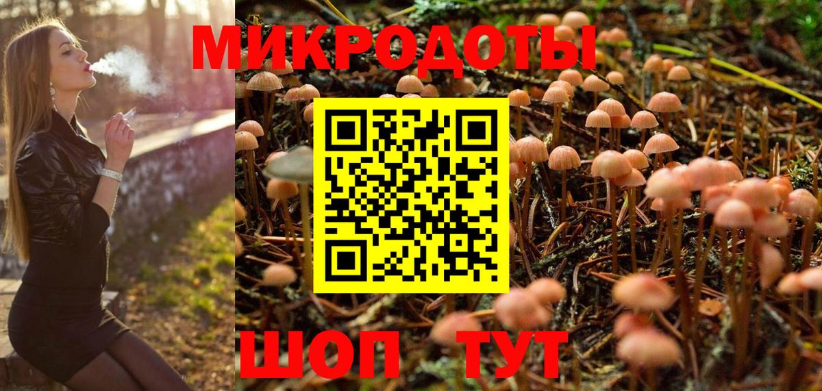 Галлюциногенные грибы Cubensis Озёры